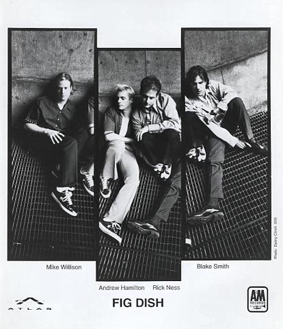 Fig Dish Promo Print