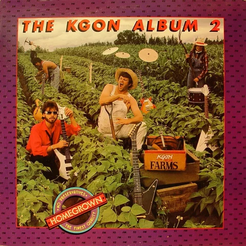 The Storm Vinyl 12"