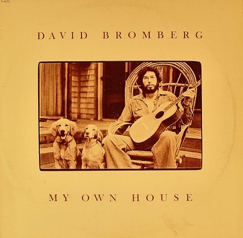 David Bromberg Vinyl 12"