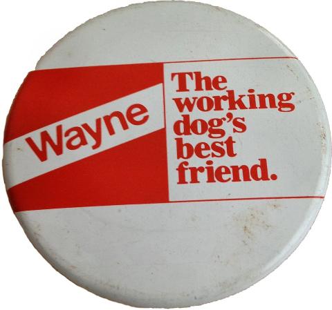 Wayne Pin