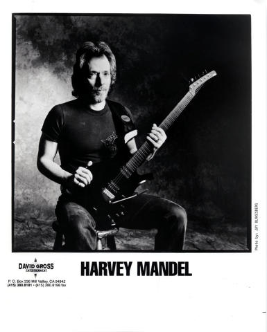Harvey Mandel Promo Print