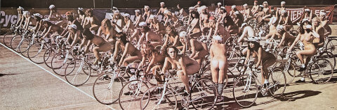Bike Beauties Poster