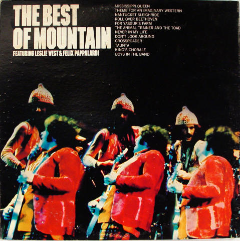 Mountain Vinyl 12"