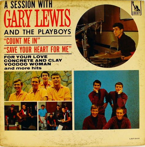 Gary Lewis and the Playboys Vinyl 12