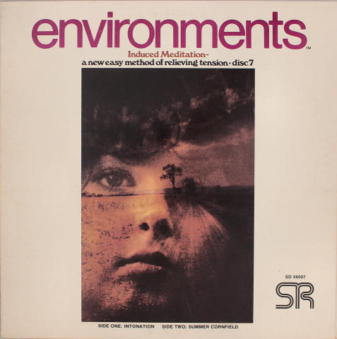 Environments Vinyl 12"
