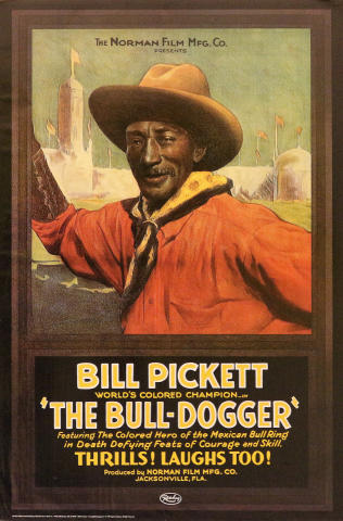 The Bull-Dogger Poster