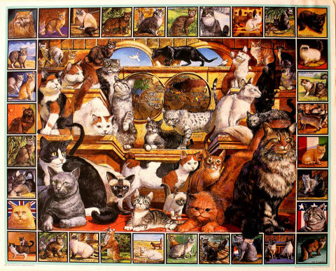 The World of Cats Poster
