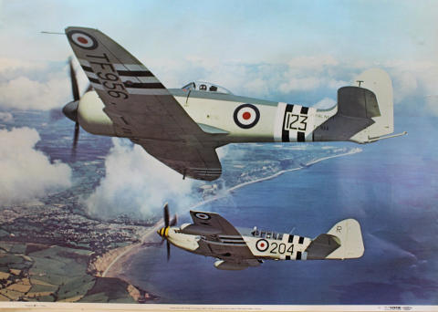 Hawker Sea Fury FB Mk 11 and Fairy Firefly AS Mk 5 Poster