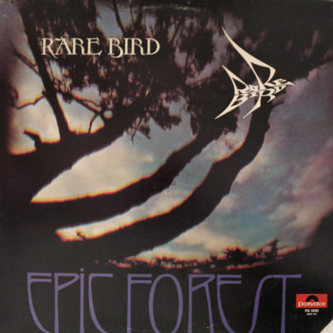 Rare Bird Vinyl 12"