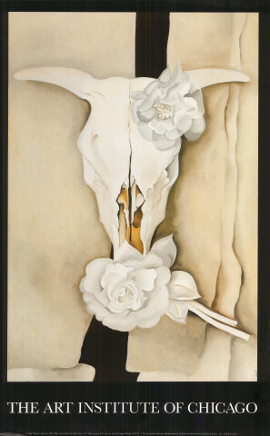Cow's Skull and Calico Roses Poster