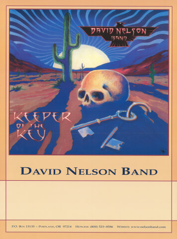 David Nelson Band Poster