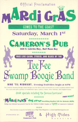 Tee Fee Swamp Boogie Band Poster