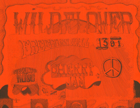 Wildflower Poster