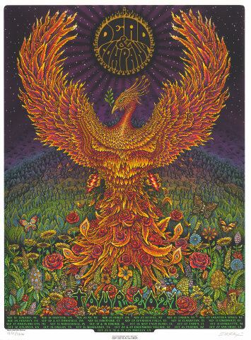 Dead & Co. Silkscreen