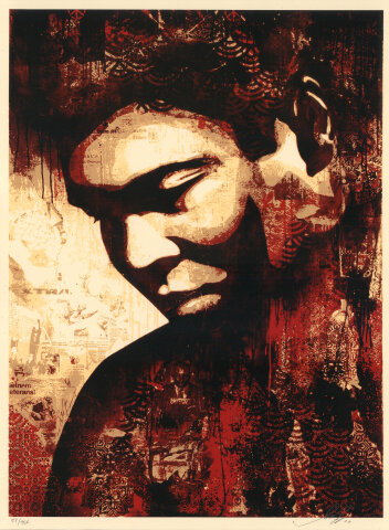 Ali Canvas Print Silkscreen