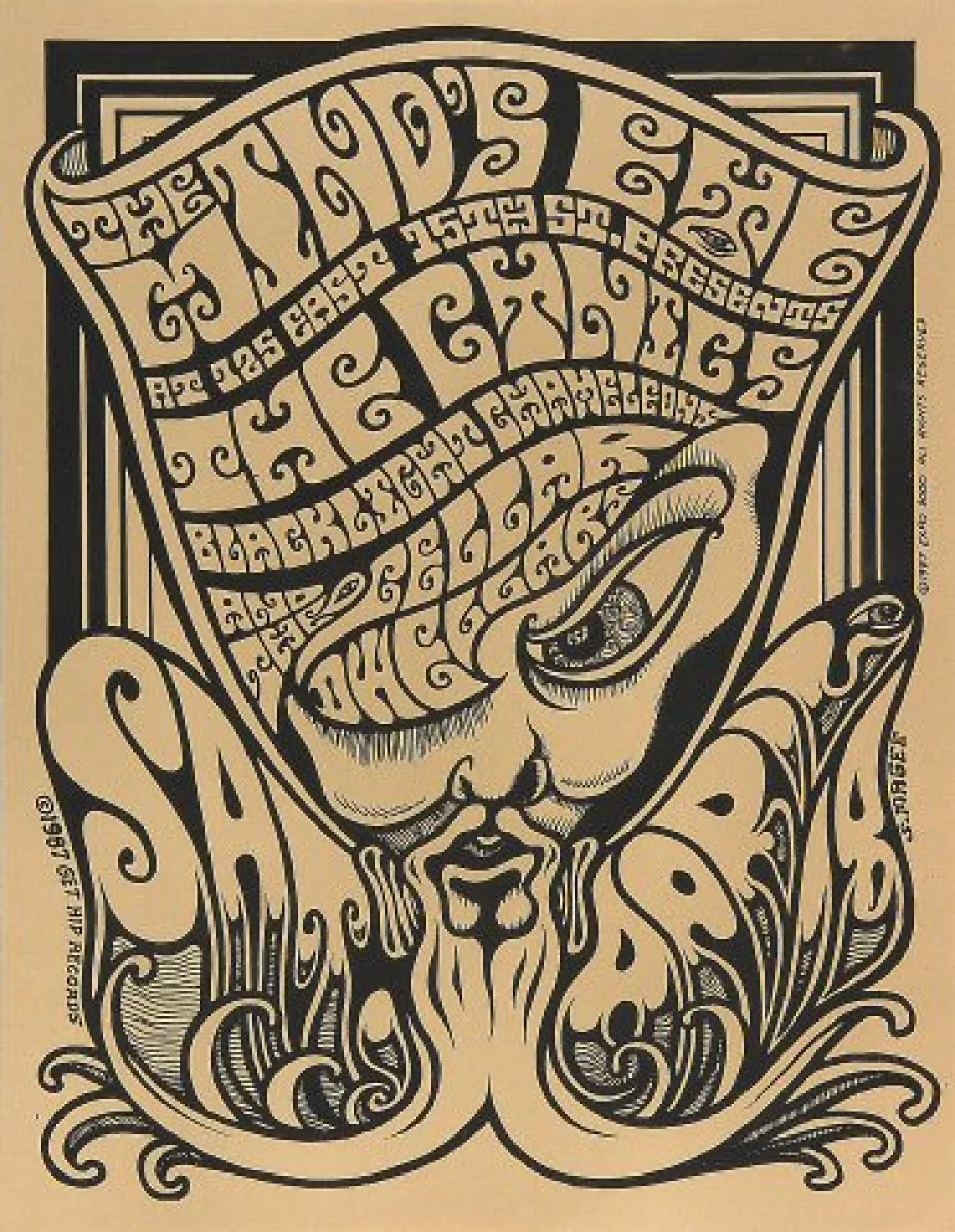 Blacklight Chameleons At Wolfgang S wolfgang s