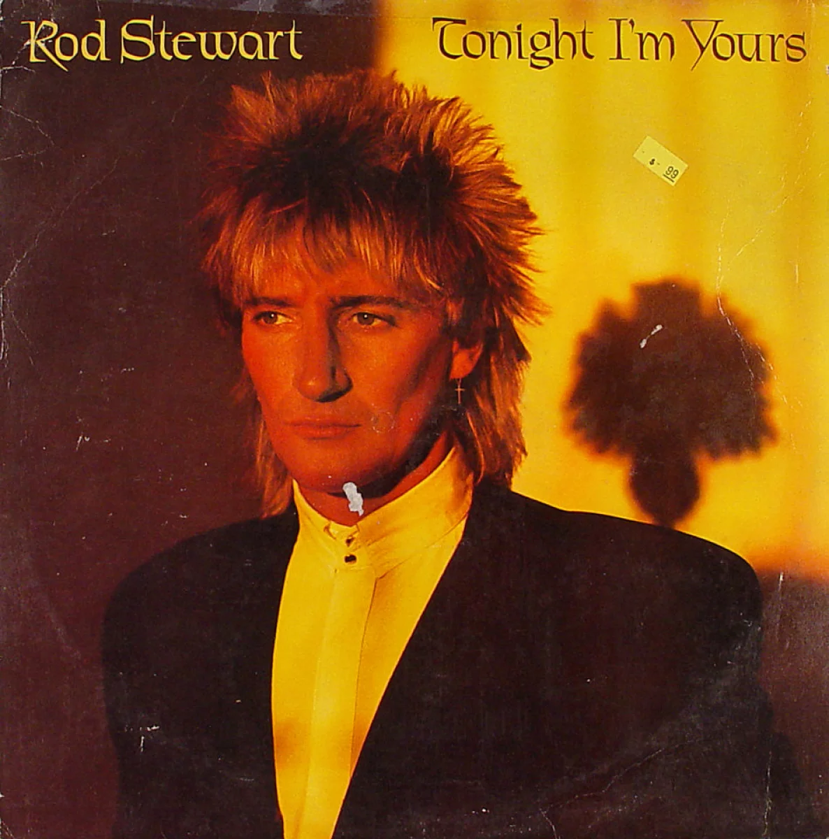 The Best Of Rod Stewart Vinyl | informacionpublica.svet.gob.gt