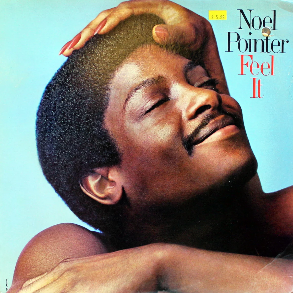 Noel Pointer Vinyl 12