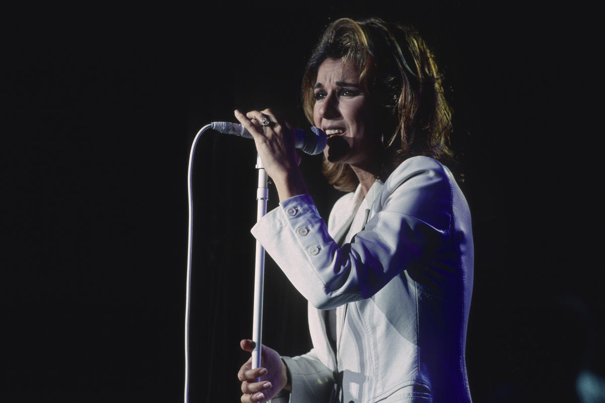 Celine Dion Vintage Concert Photo Fine Art Print at Wolfgang's