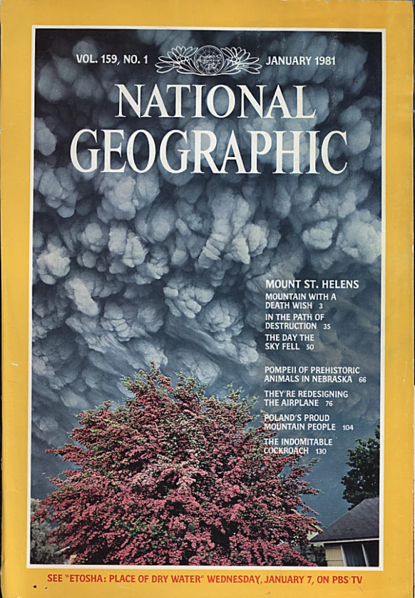 National Geographic January 1981 at Wolfgang's