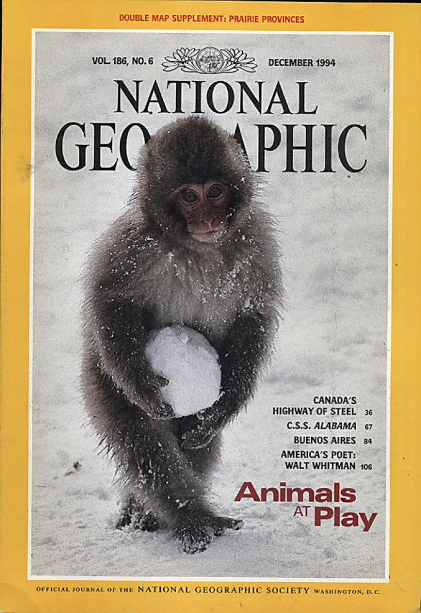 national-geographic-december-1994-at-wolfgang-s