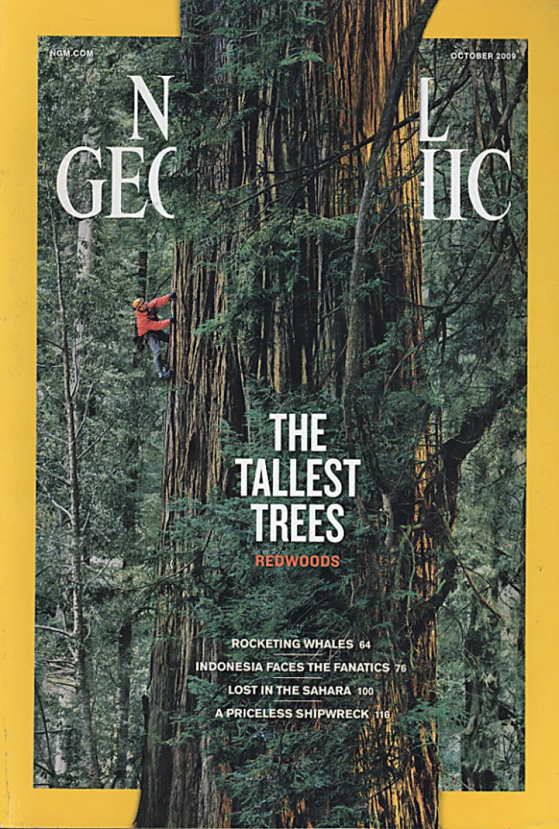 National Geographic | October 2009 at Wolfgang's