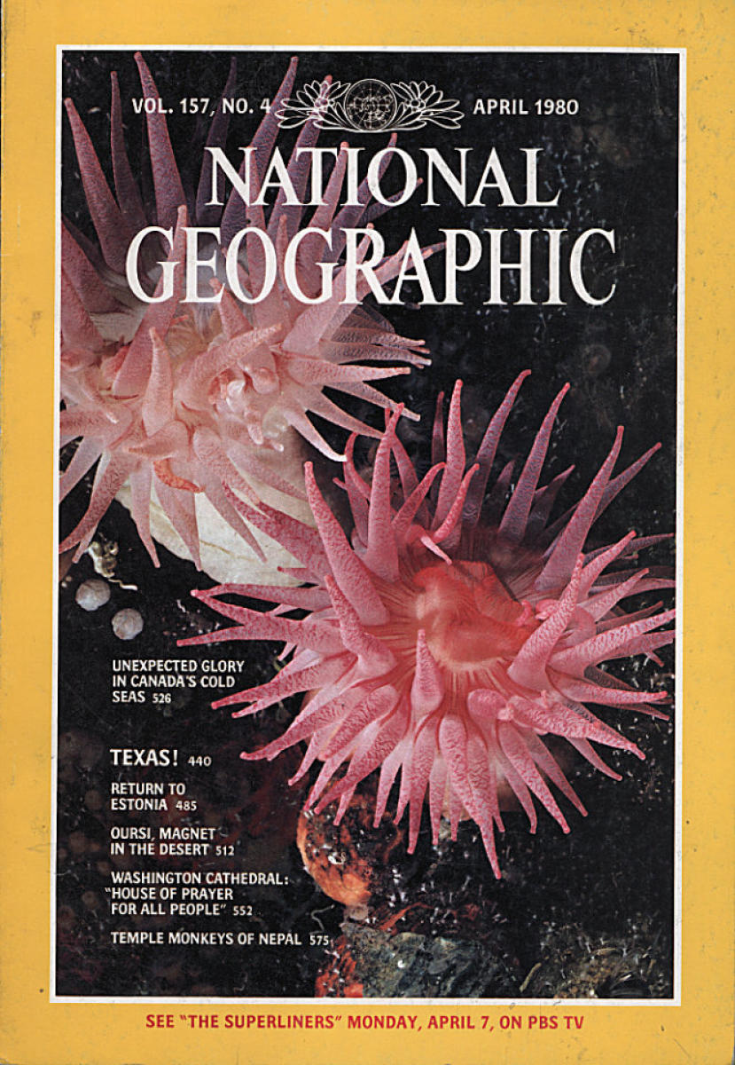 National Geographic April 1980 at Wolfgang's