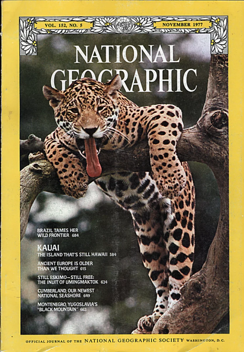 National Geographic | November 1977 at Wolfgang's