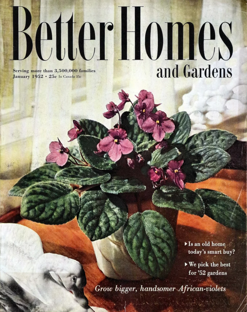 Better Homes And Gardens January 1952 At Wolfgang S   Better Homes And Gardens Vintage Magazine Jan 1 1952.webp