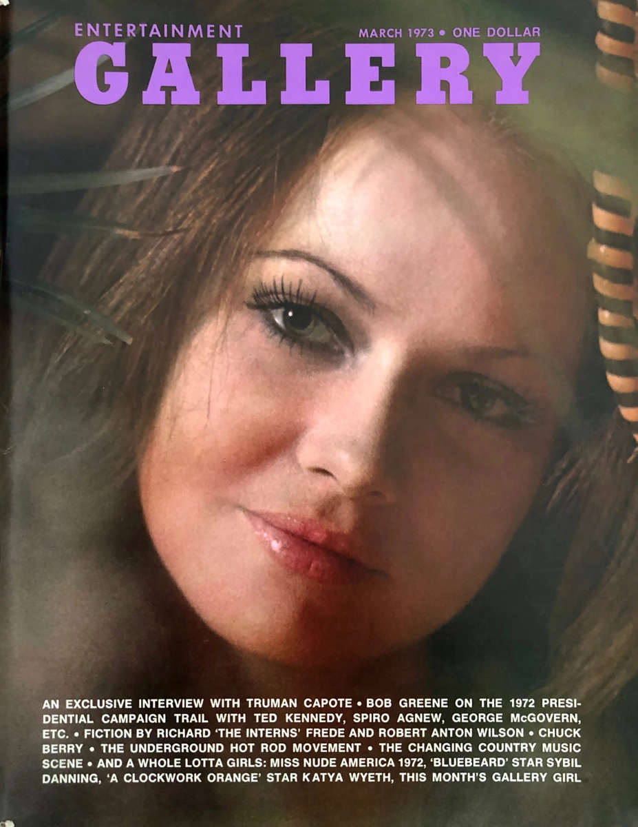 Gallery Vol 1 No 5 March 1973 At Wolfgang s