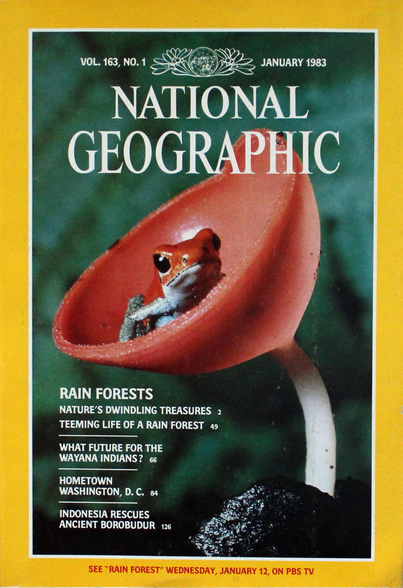 National Geographic | January 1983 at Wolfgang's