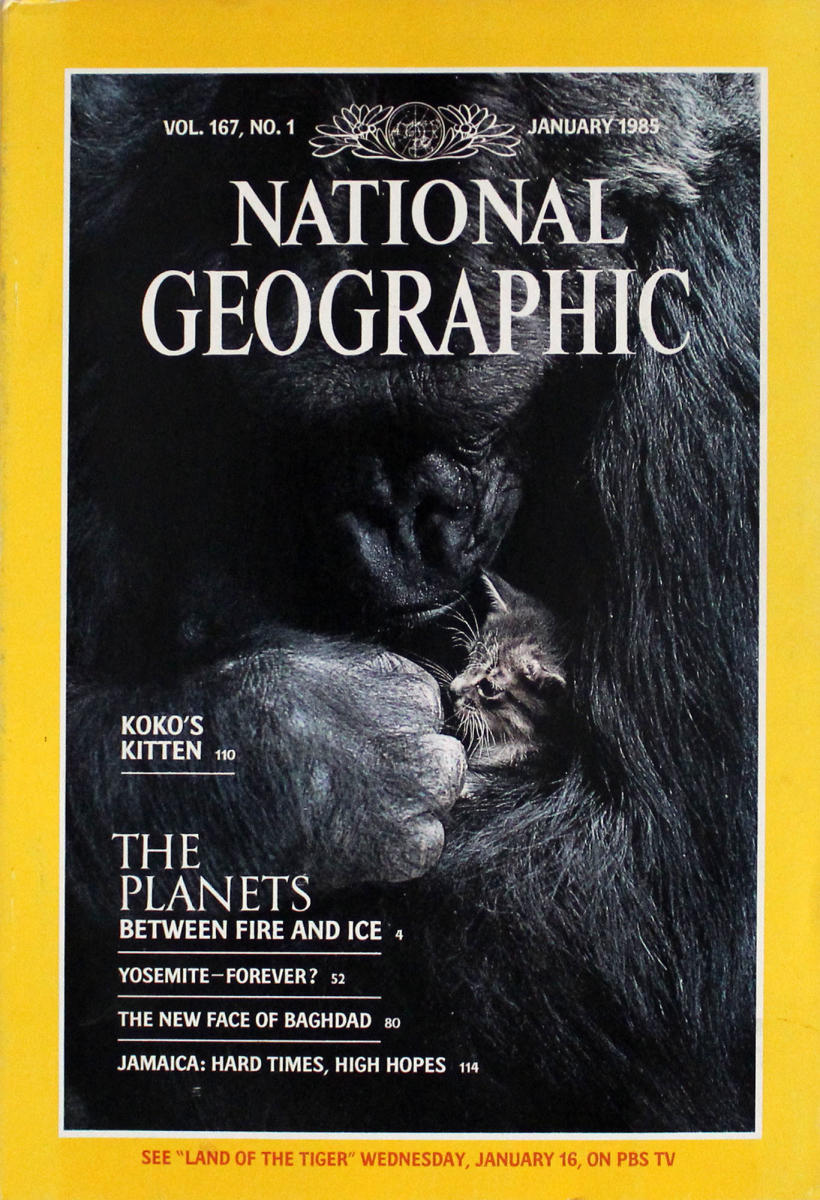 National Geographic | January 1985 at Wolfgang's