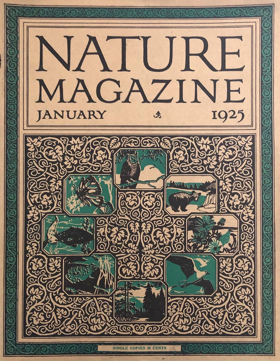 Nature | January 1925 at Wolfgang's