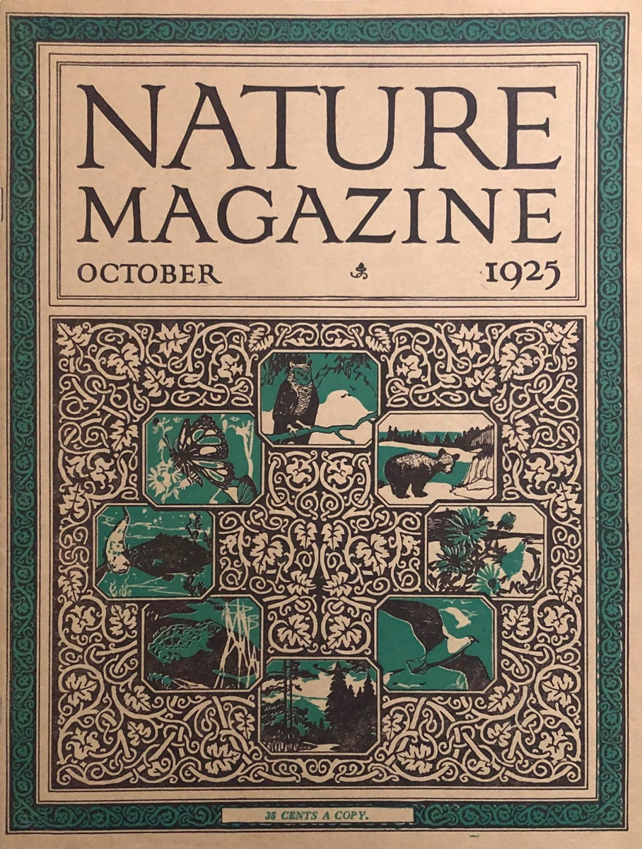 Nature | October 1925 at Wolfgang's