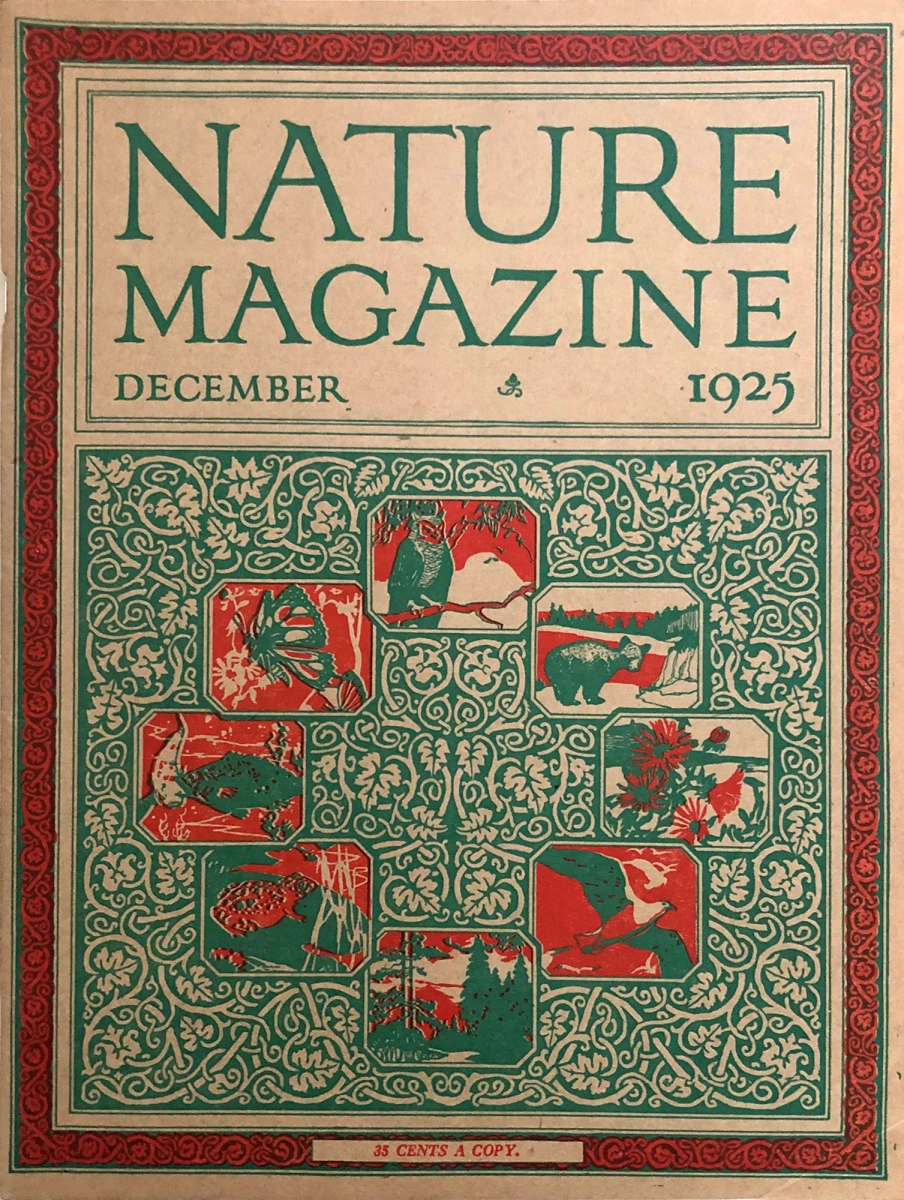 Nature | December 1925 at Wolfgang's