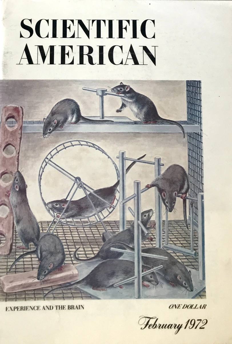 scientific american article new york times magazine 1972 nov