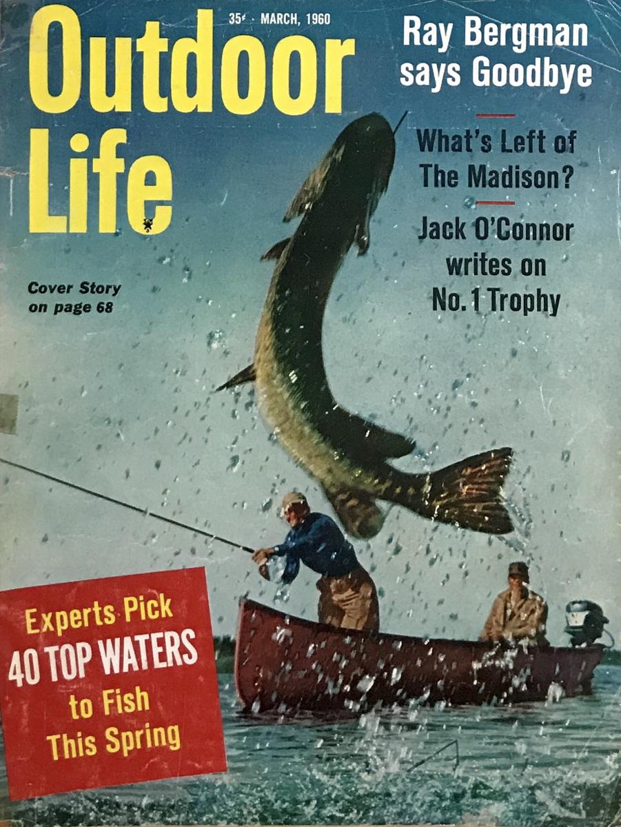 LIFE THE ’60s　O'NEIL BULFINCH Life: The '60s: O'Neil, Doris C.: 9780821217528: Amazon.com
