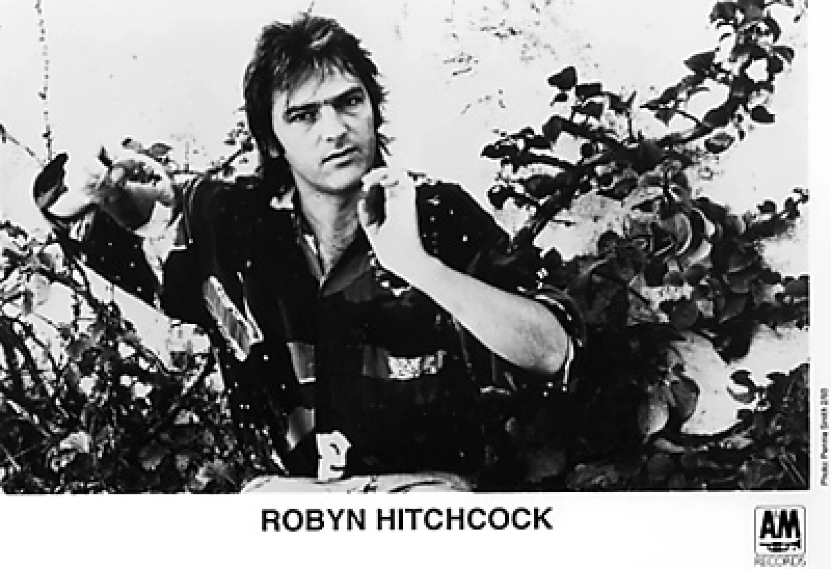 Robyn Hitchcock Vintage Concert Photo Promo Print, 1993 at Wolfgang's