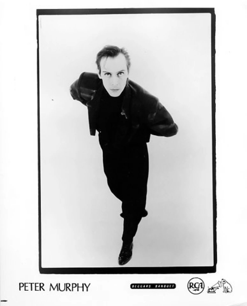 Peter Murphy Vintage Concert Photo Promo Print at Wolfgang's