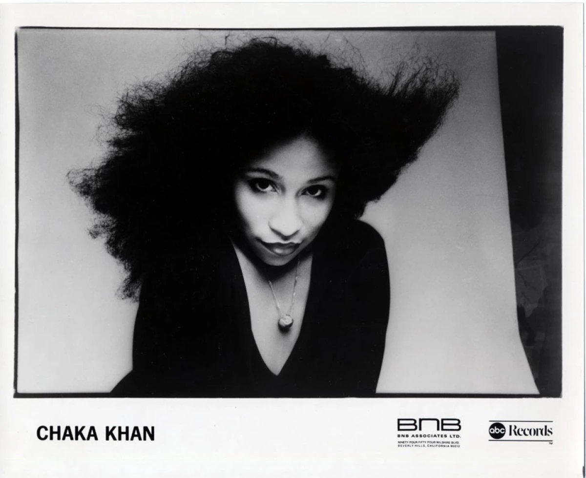 Chaka Khan Vintage Concert Photo Promo Print At Wolfgang S