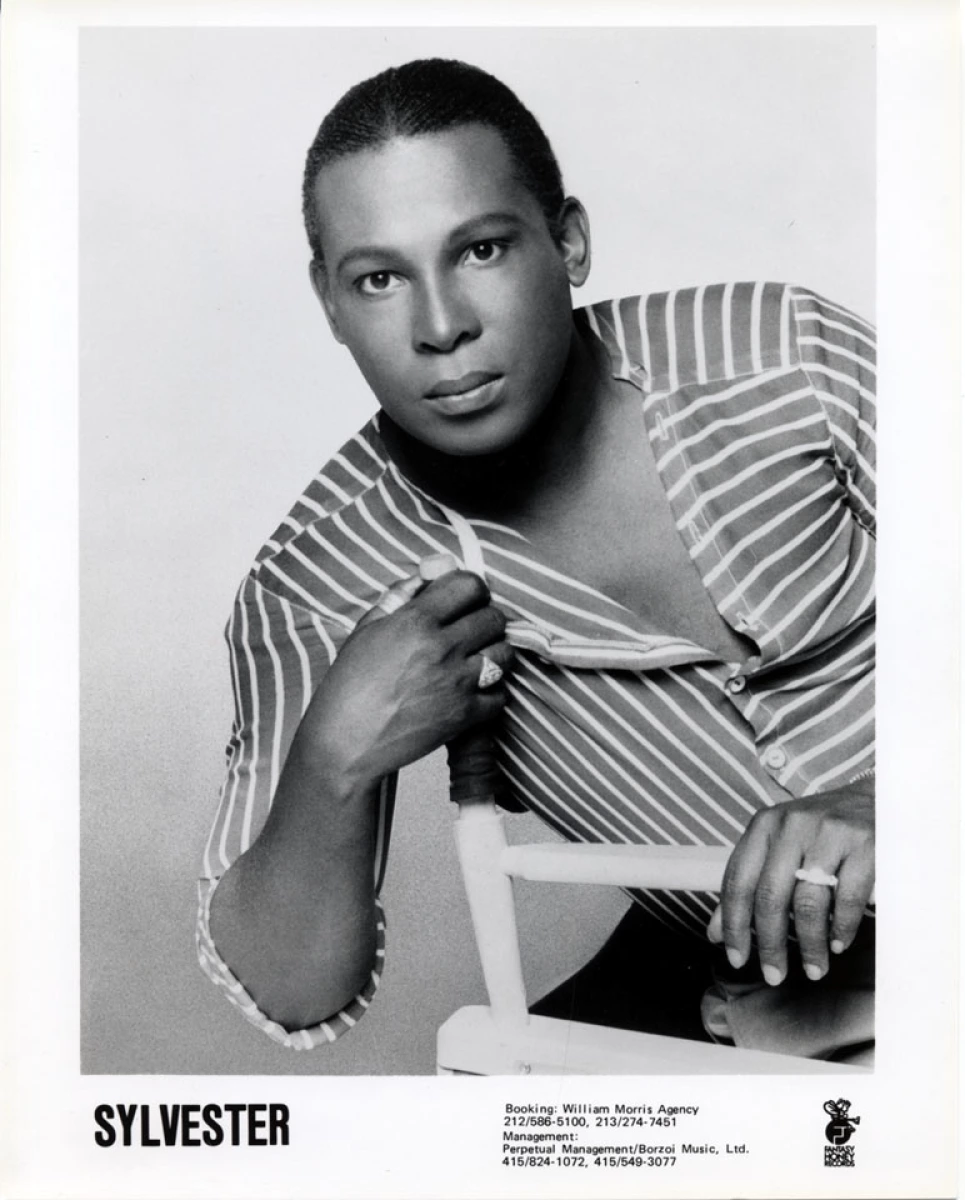 Sylvester Vintage Concert Photo Promo Print at Wolfgang's