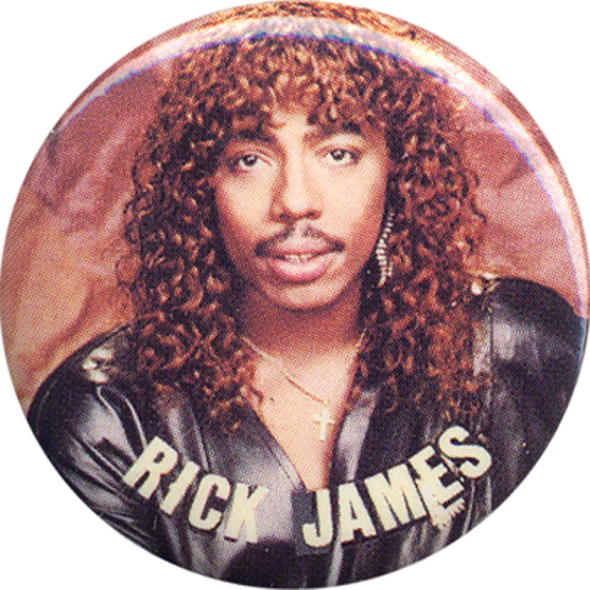 RICK JAMES MUSIC LEGEND 1985 COLLECTIBLE VINTAGE PIN BUTTON RARE MEMORABILIA