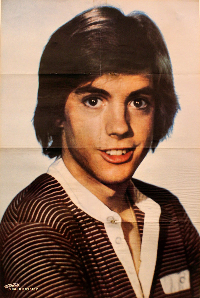 Teen Talk Shaun Cassidy Vintage Concert Poster at Wolfgang's